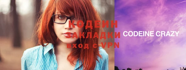 спиды Бородино