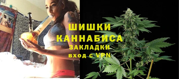 спиды Бородино