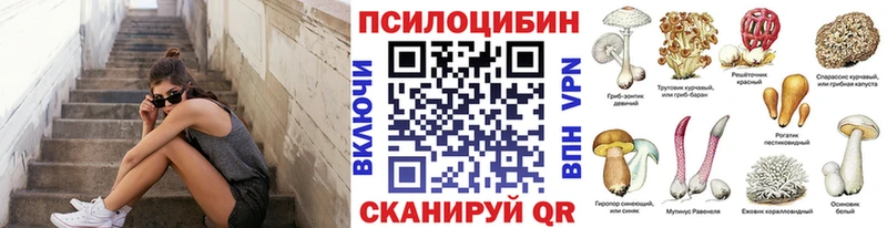Псилоцибиновые грибы GOLDEN TEACHER  Купить где  Ленинск 
